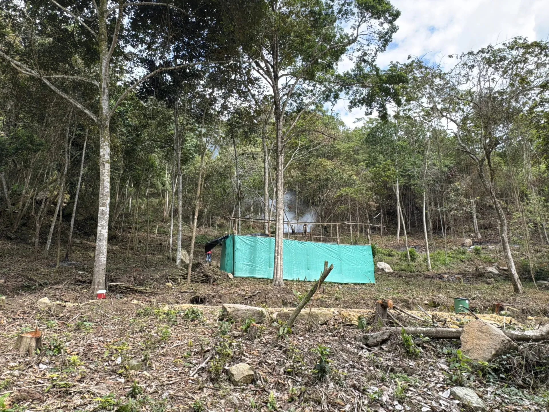 Claro abierto entre los árboles, con un refugio de lona verde al fondo