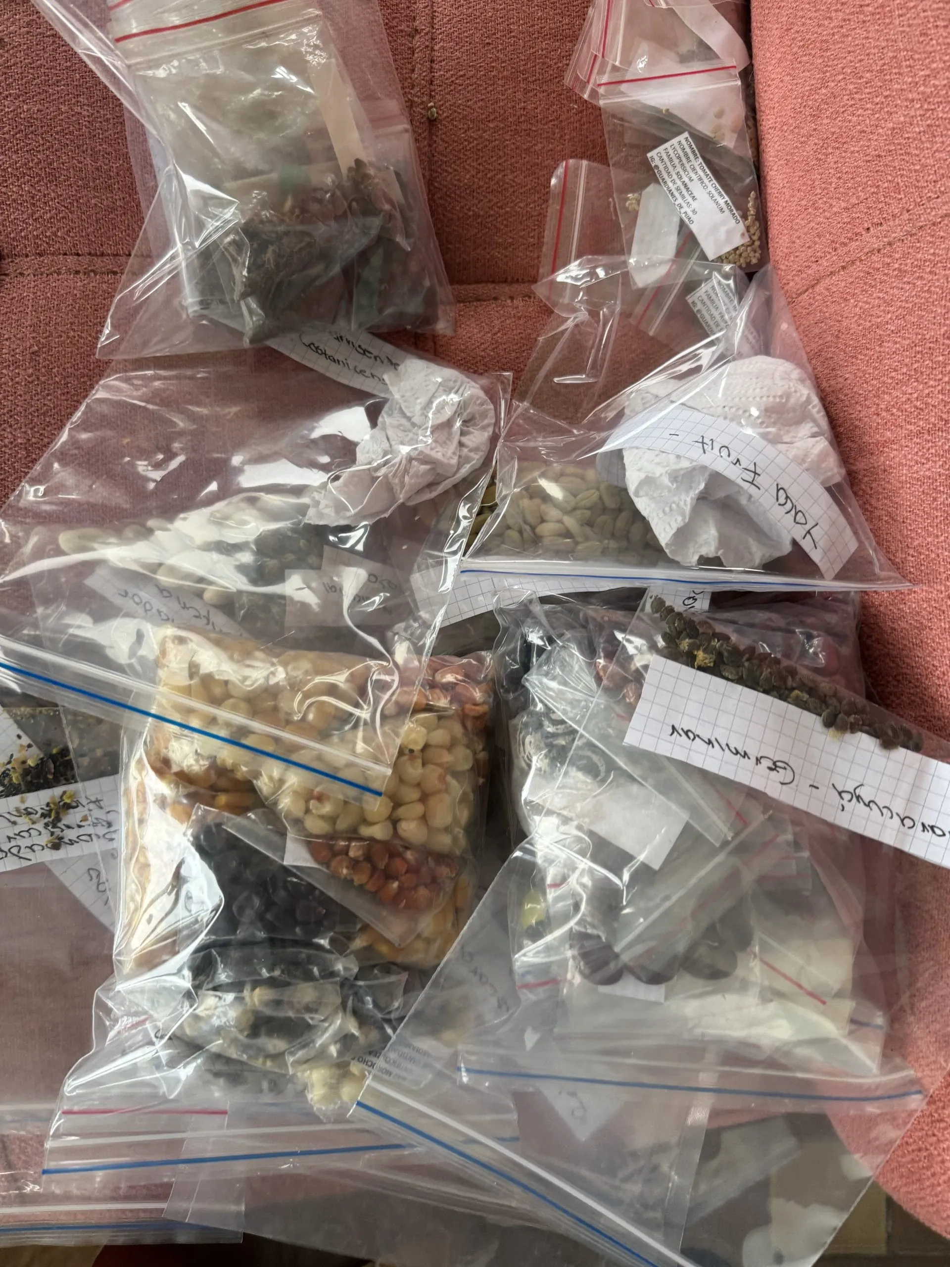 Bolsas de semillas etiquetadas a mano, guardadas para sembrar