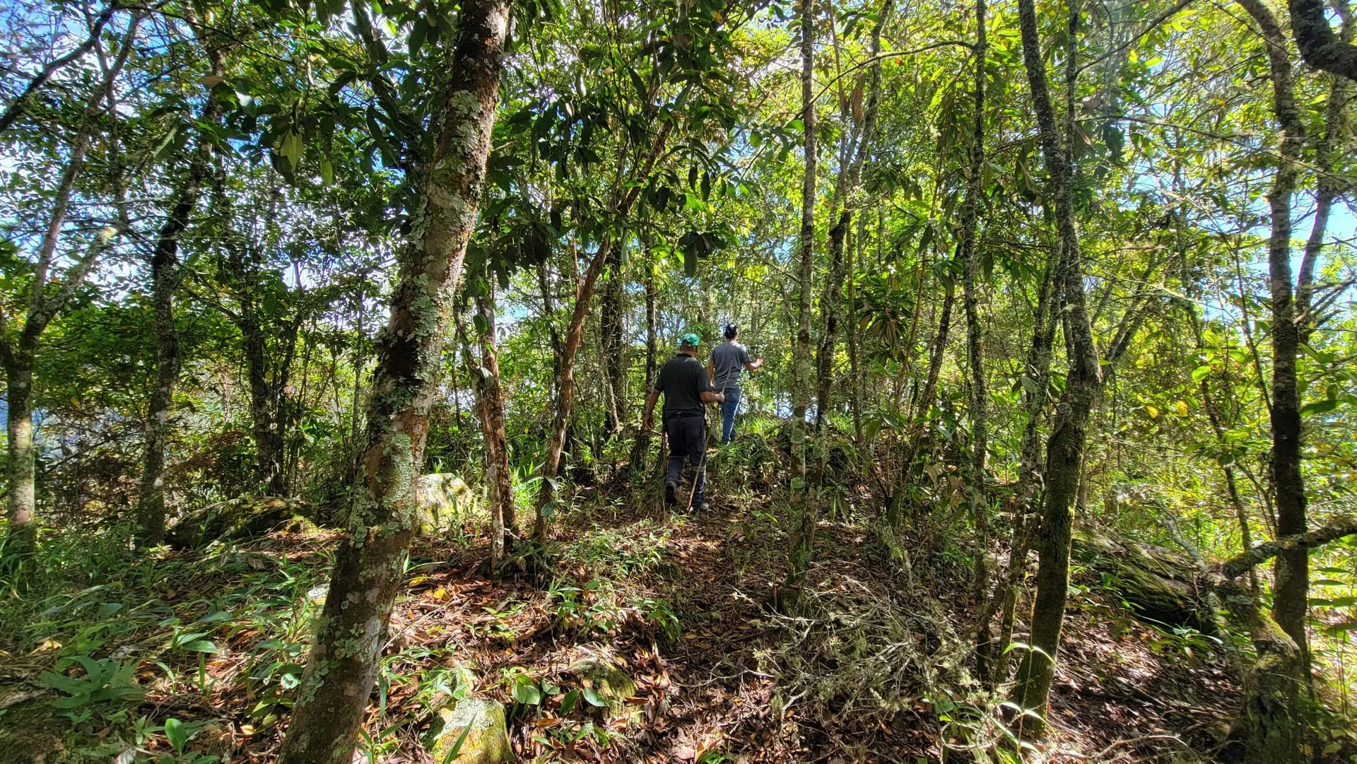 Dos personas caminando entre los árboles de la finca