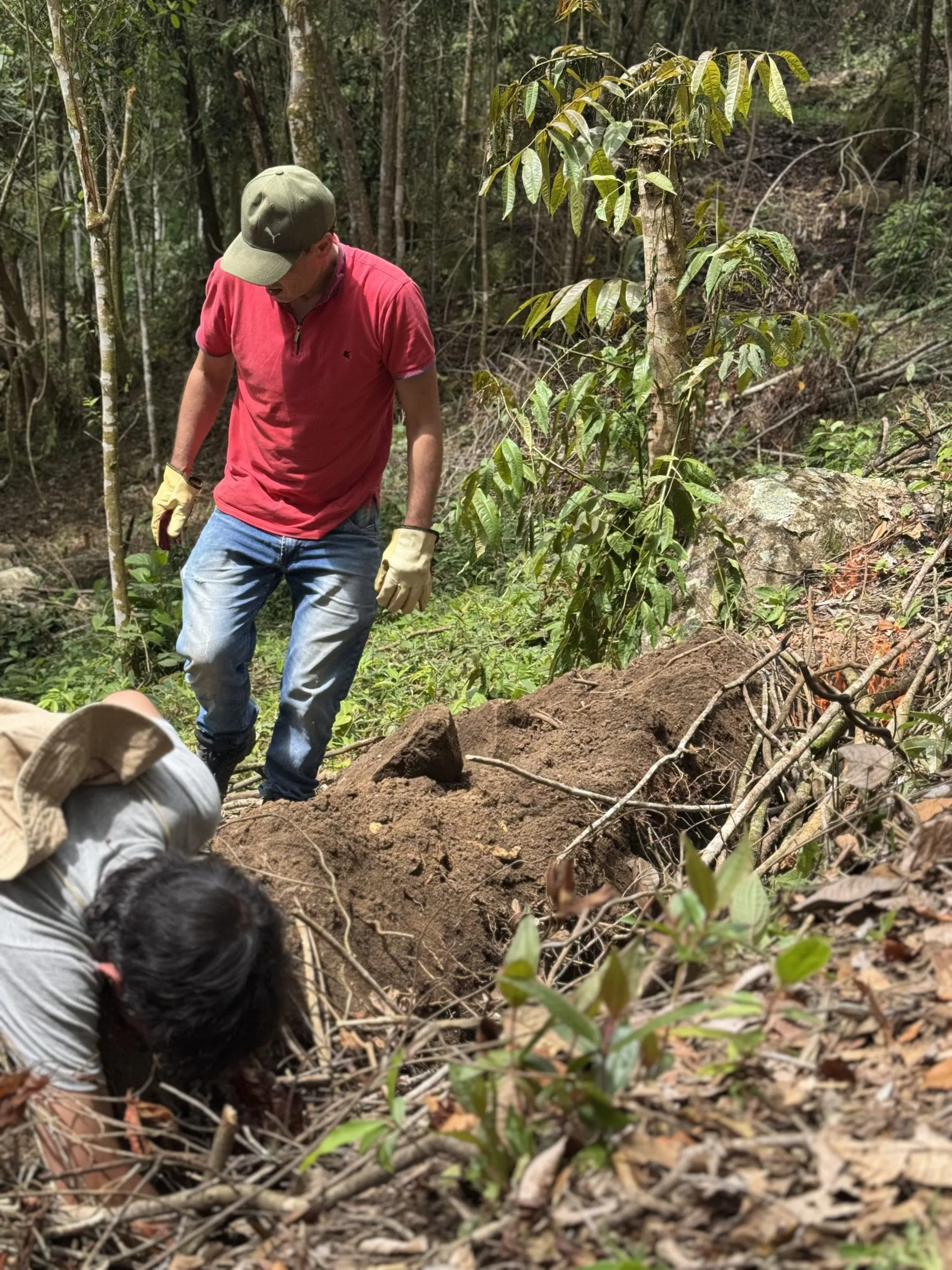 Dos personas abriendo terreno en una ladera