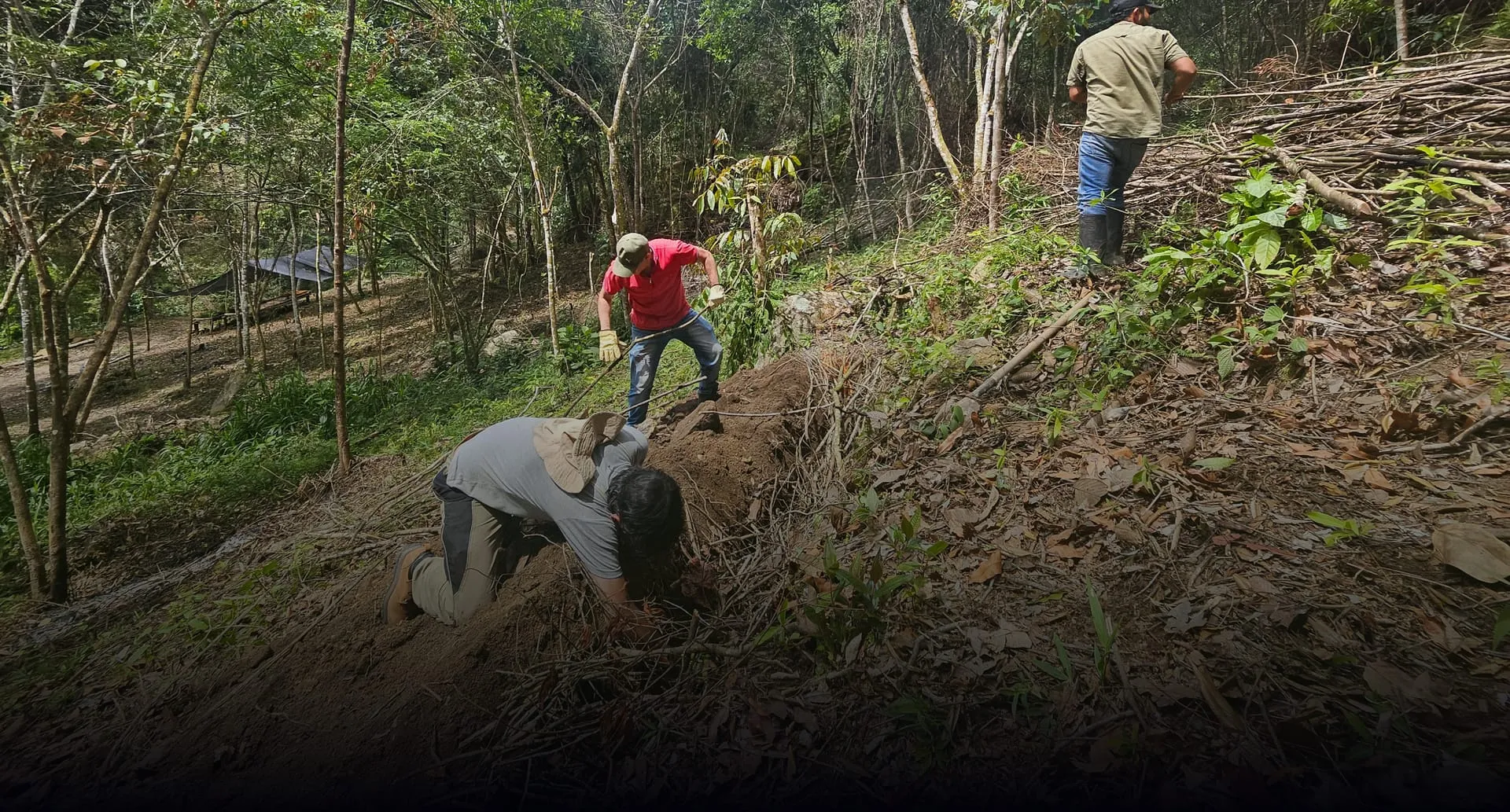 Trabajo de siembra en el suelo de la finca